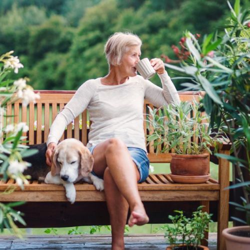 Tendence Cour Arriere 2022