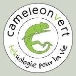 Cameleon Vert