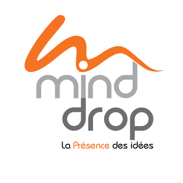 Services Mind Drop Inc